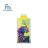 RandM Leopard 40000 Puffs Jetable Vape (Boîte de 10)