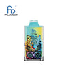 RandM Leopard 40000 Puffs Jetable Vape (Boîte de 10)