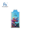 RandM Leopard 40000 Puffs Jetable Vape (Boîte de 10)