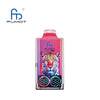 RandM Leopard 40000 Puffs Jetable Vape (Boîte de 10)