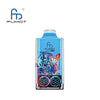 RandM Leopard 40000 Puffs Jetable Vape (Boîte de 10)
