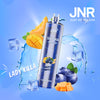 JNR Shisha Hookah 12000 (Boîte de 10)