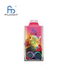 RandM Leopard 40000 Puffs Jetable Vape (Boîte de 10)