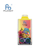 RandM Leopard 40000 Puffs Jetable Vape (Boîte de 10)