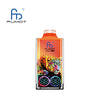RandM Leopard 40000 Puffs Jetable Vape (Boîte de 10)