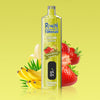 REndM Shisha 25000 Puffs (Boîte de 10)