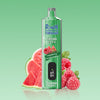 REndM Shisha 25000 Puffs (Boîte de 10)
