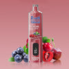 REndM Shisha 25000 Puffs (Boîte de 10)