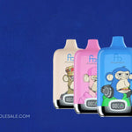 Comment utiliser et entretenir votre boîte numérique Digital Box 12000 ?