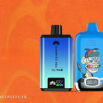 Pourquoi la vente en gros de puffs est le choix intelligent pour les détaillants de vape en France