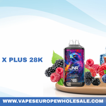 Comment remplir correctement le JNR Falcon X Plus 28000 ?