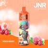 JNR Alien 10000 Puffs (Box of 10) - Peach Berry